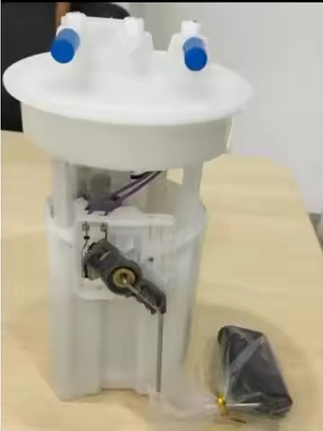 Electric Fuel Pump Assembly OE PW25324427 Miaosha Manufacturer in China Supply High quality fits WAJA